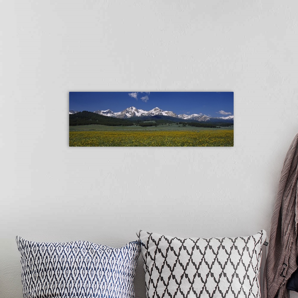 A bohemian room featuring Panoramic photograph of meadow with forest and snow covered forest in the distance under a cloudy...