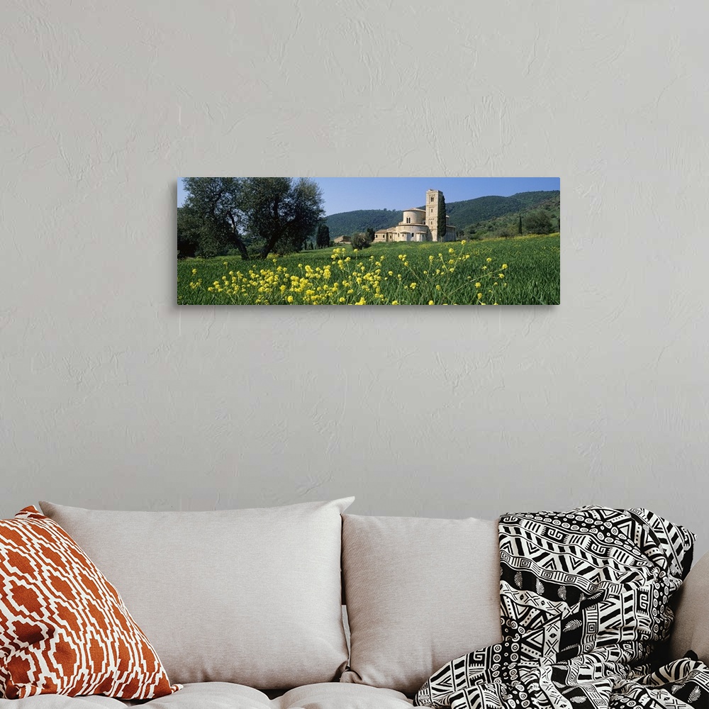 A bohemian room featuring Flowers in a field with a church in the background, San Antimo Abbey, San Antimo, Tuscany, Italy