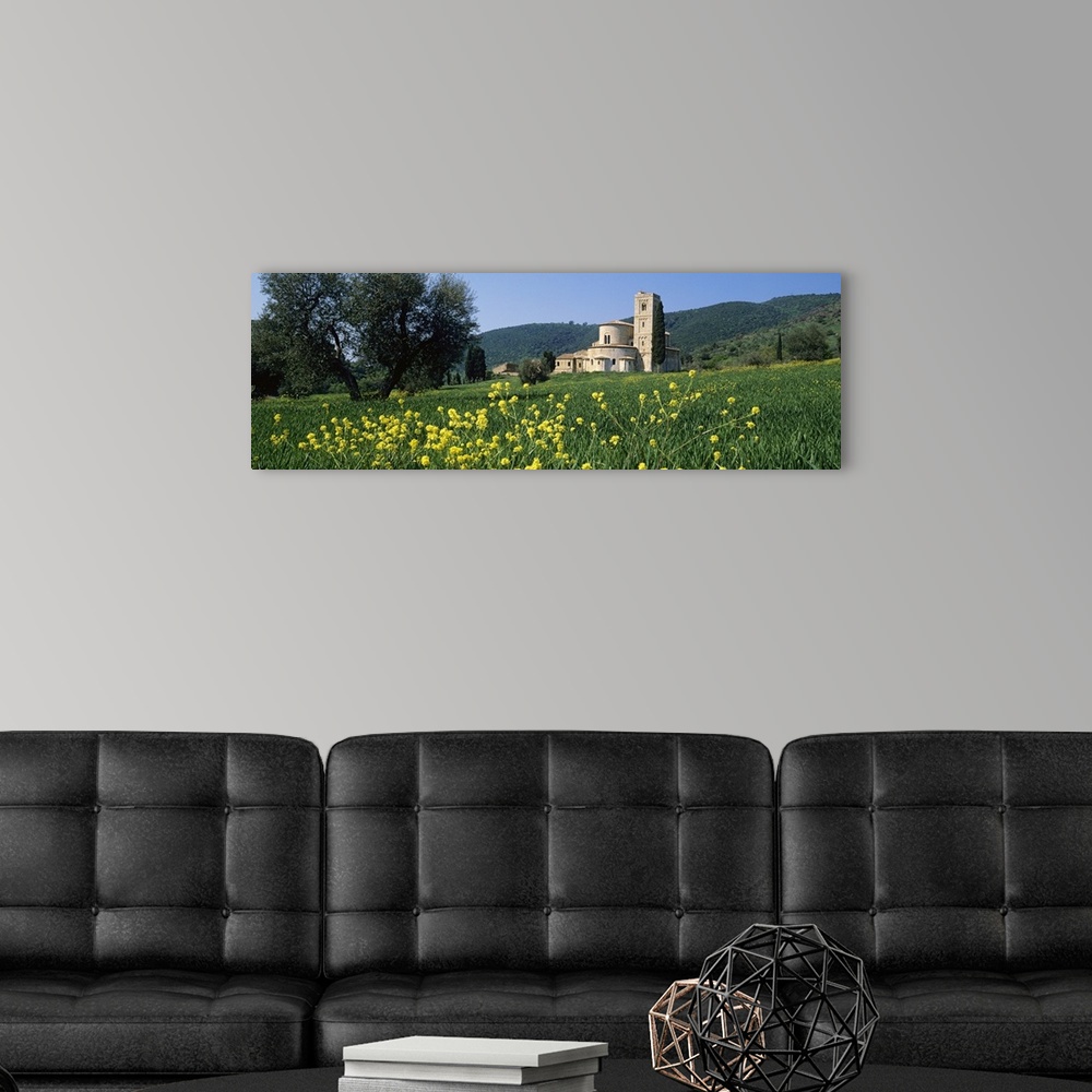 A modern room featuring Flowers in a field with a church in the background, San Antimo Abbey, San Antimo, Tuscany, Italy