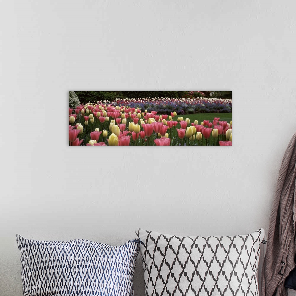 A bohemian room featuring Long horizontal photo on canvas of brightly colored tulips in a garden.