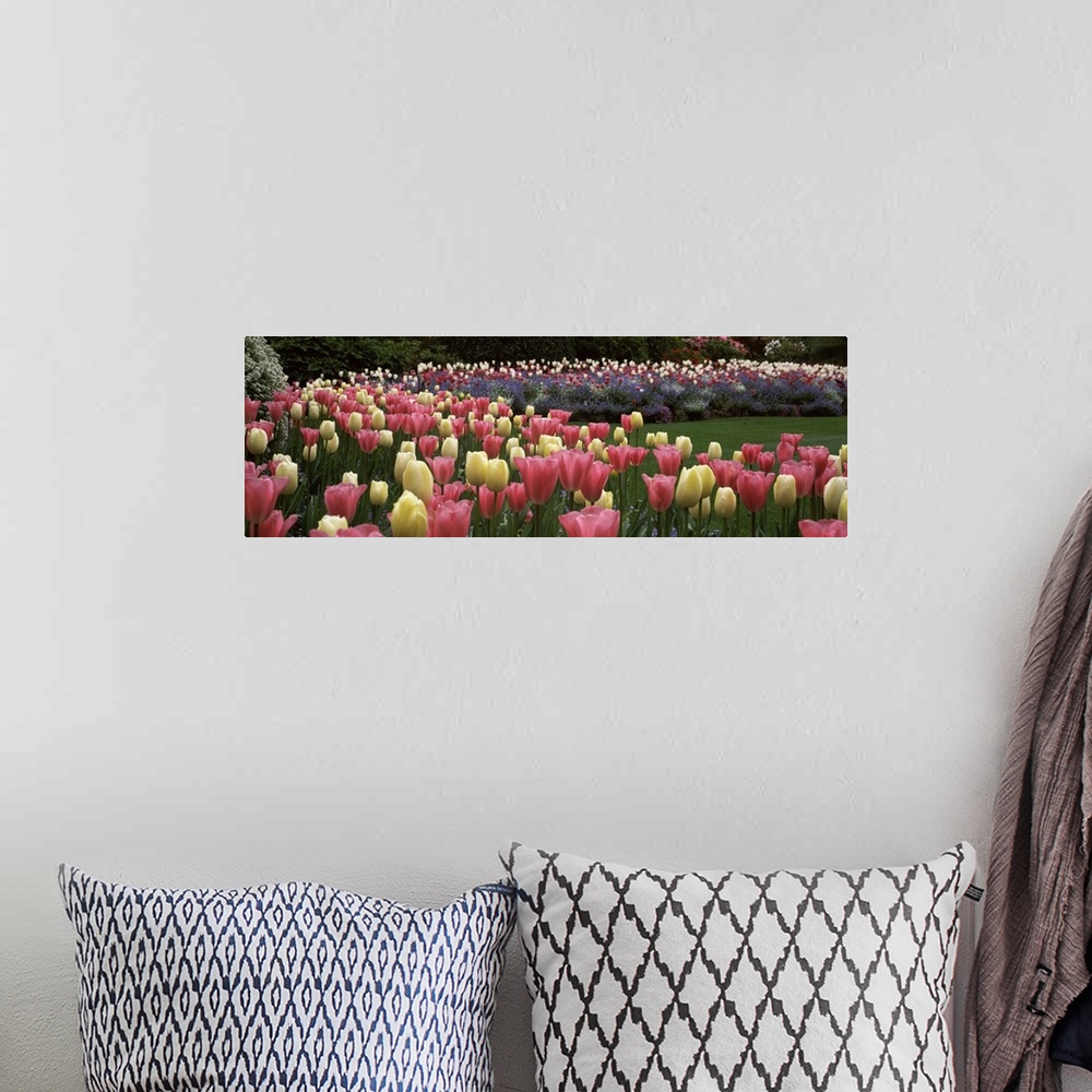 A bohemian room featuring Long horizontal photo on canvas of brightly colored tulips in a garden.