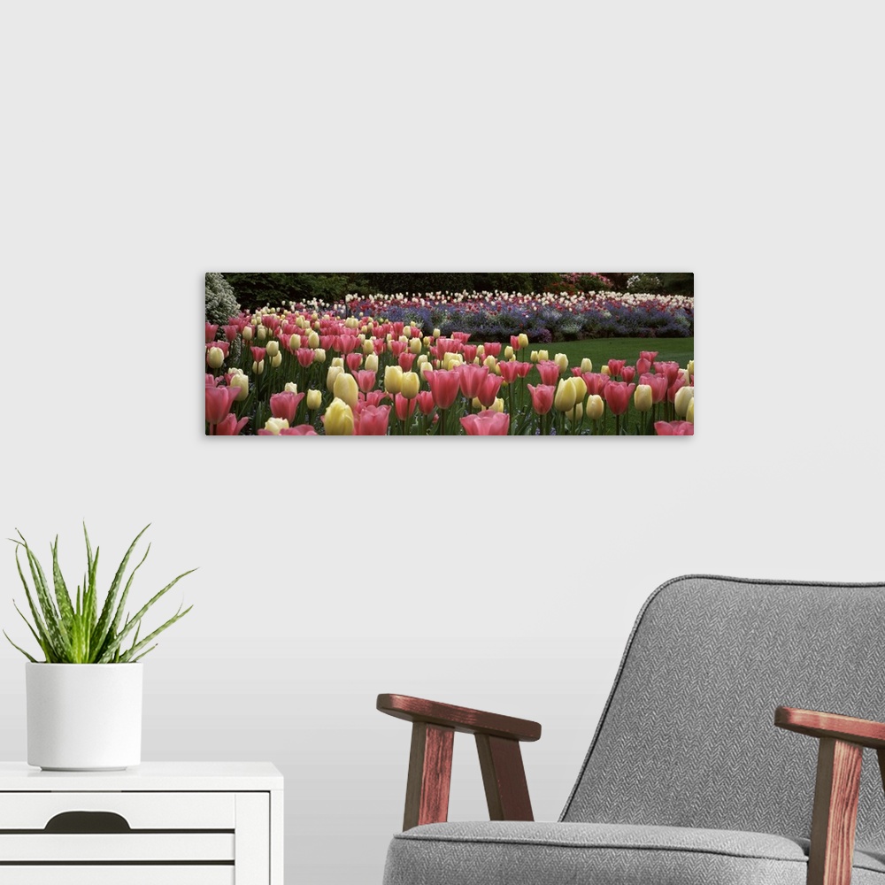 A modern room featuring Long horizontal photo on canvas of brightly colored tulips in a garden.