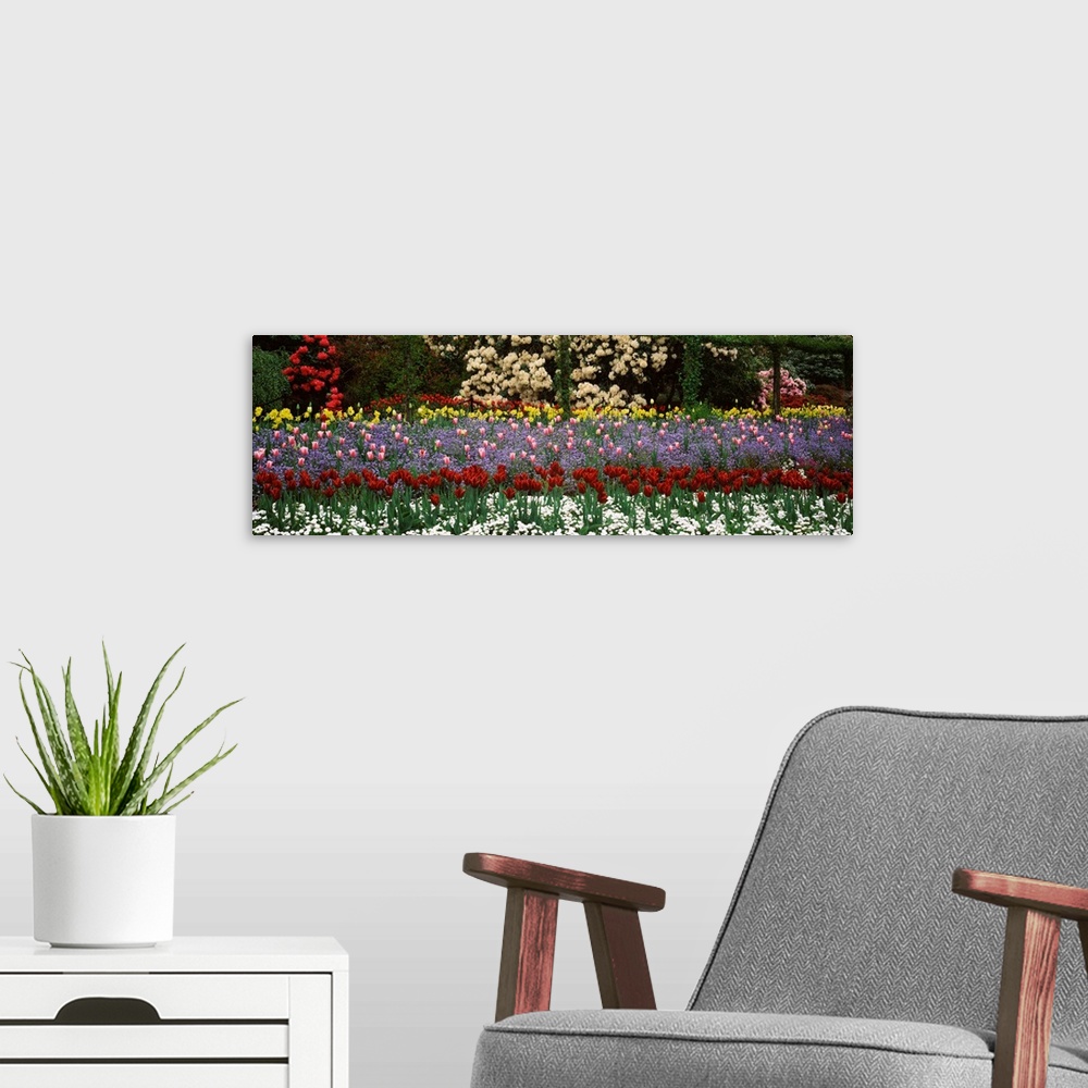 A modern room featuring Flowers in a garden, Butchart Gardens, Brentwood Bay, Vancouver Island, British Columbia, Canada