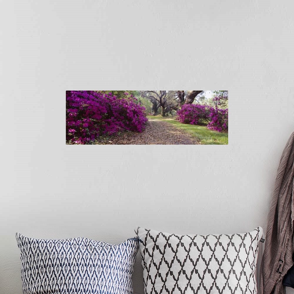 A bohemian room featuring Panoramic photo print of flowering shrubs in a garden with big trees in the distance.
