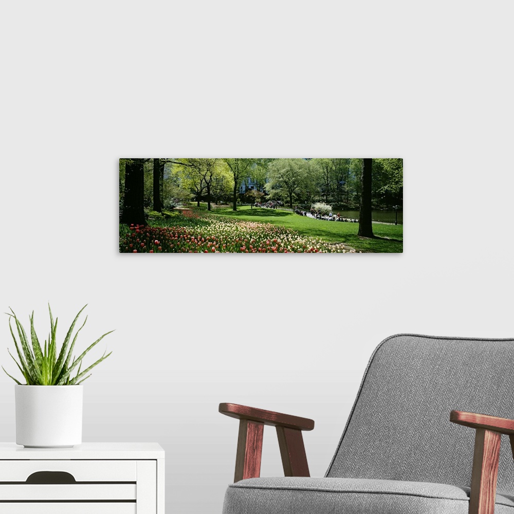 A modern room featuring Wide angle photograph taken of a thick strip of flowers that grow on a lush green field in Centra...