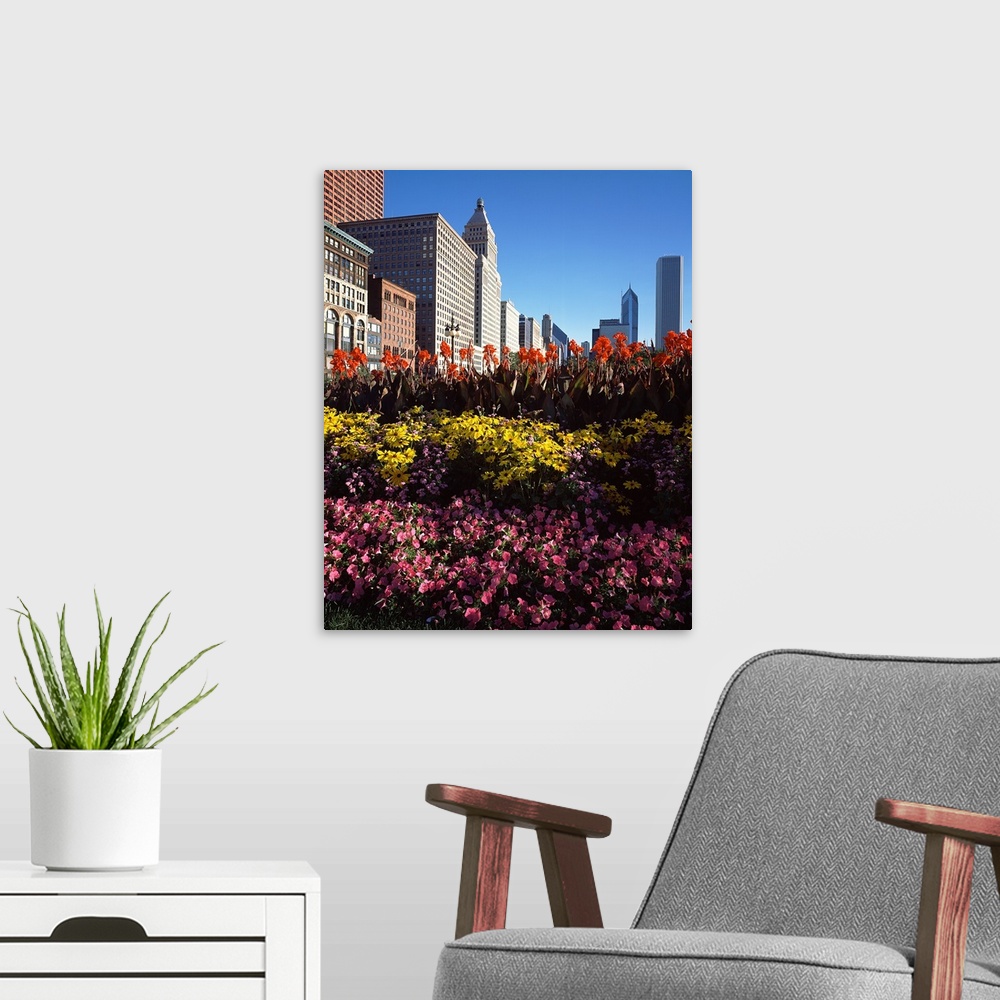 A modern room featuring Flowers in a park, Grant Park, Michigan Avenue, Chicago, Cook County, Illinois,
