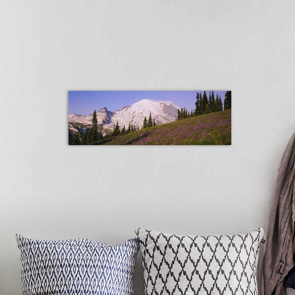 A bohemian room featuring Flowers in front of mountain, Mt Rainier, Mt Rainier National Park, Washington State