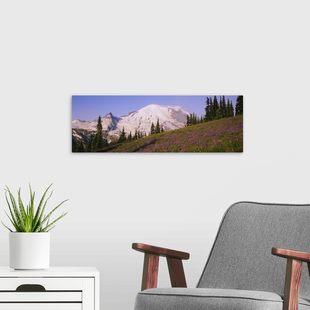 A modern room featuring Flowers in front of mountain, Mt Rainier, Mt Rainier National Park, Washington State