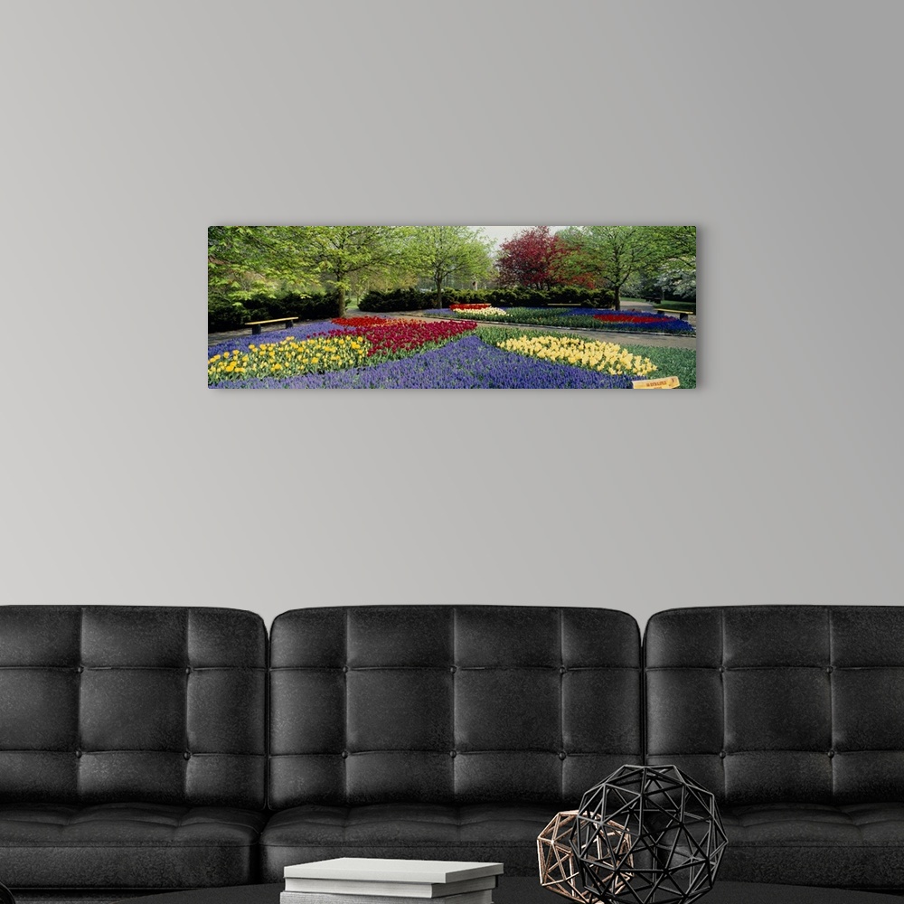 A modern room featuring This panoramic picture was taken on a beautiful day of flower gardens inside a park.
