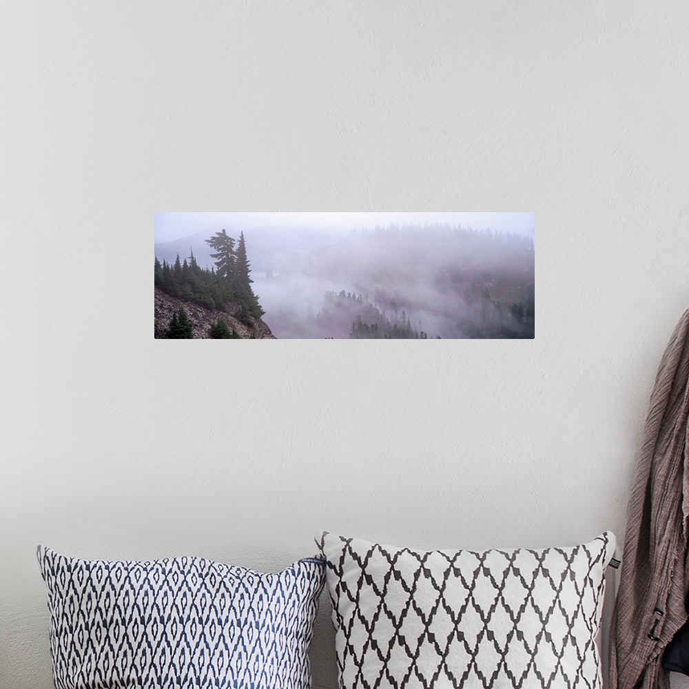 A bohemian room featuring Fog Cascade Mountains WA