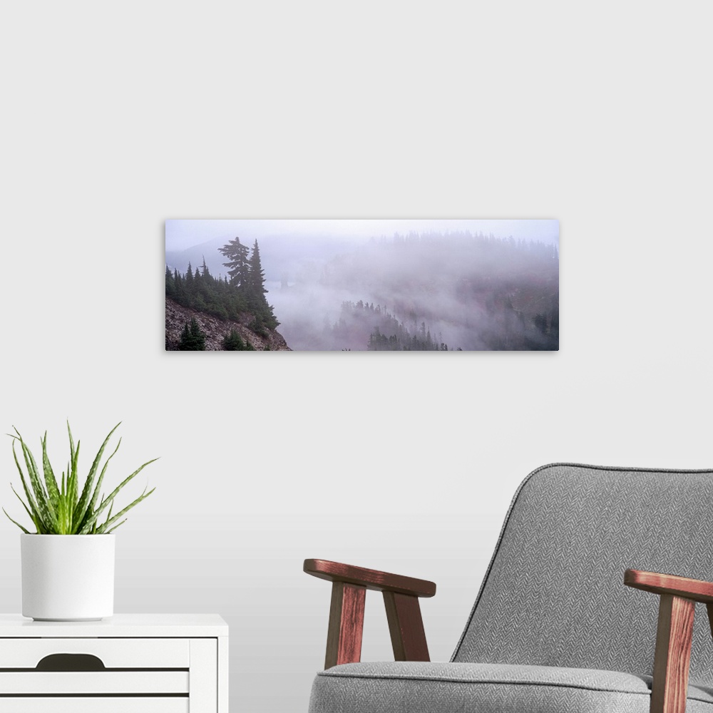 A modern room featuring Fog Cascade Mountains WA