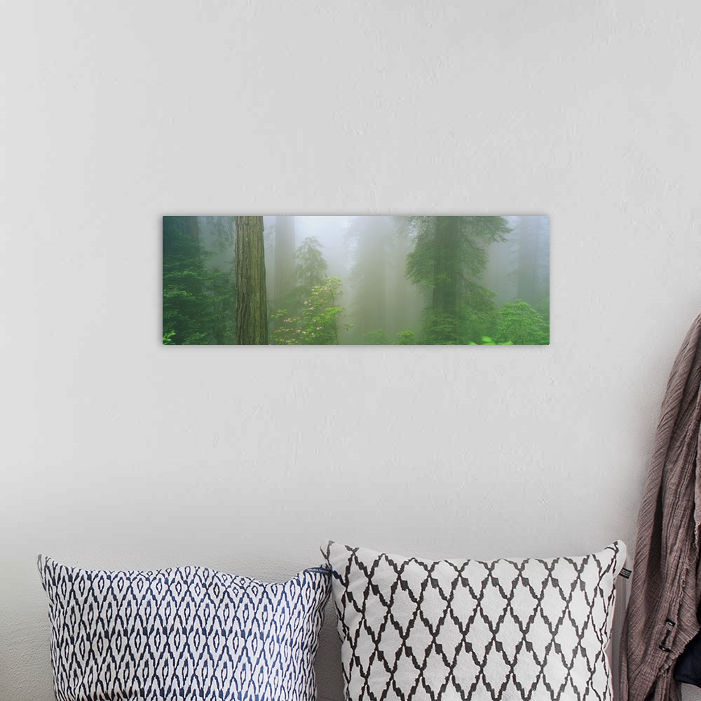 A bohemian room featuring A big panoramic piece of a forest with different types of trees shown and a layer of fog in the d...