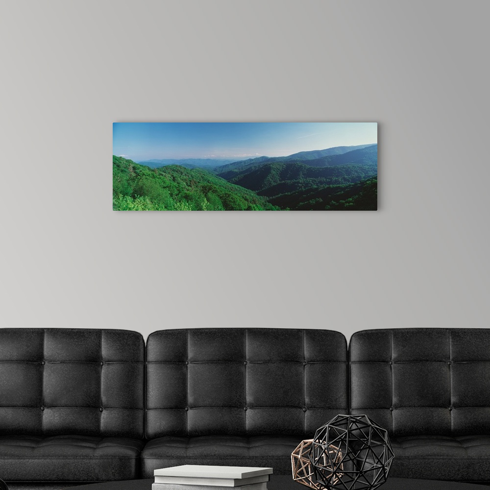 A modern room featuring Fog over a forest, Great Smoky Mountain National Park, North Carolina