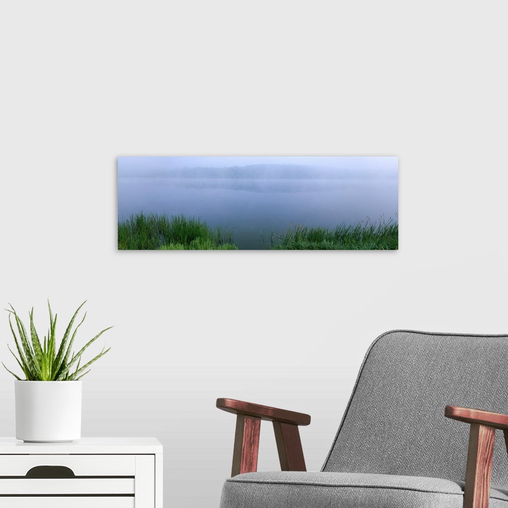 A modern room featuring Fog over a lake, Herrington Manor State Park, Maryland