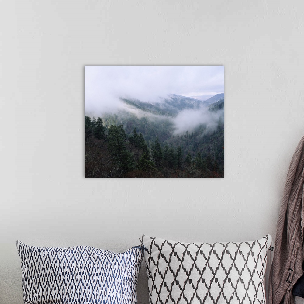 A bohemian room featuring Fog over a mountain range, Cherokee, Swain County, North Carolina