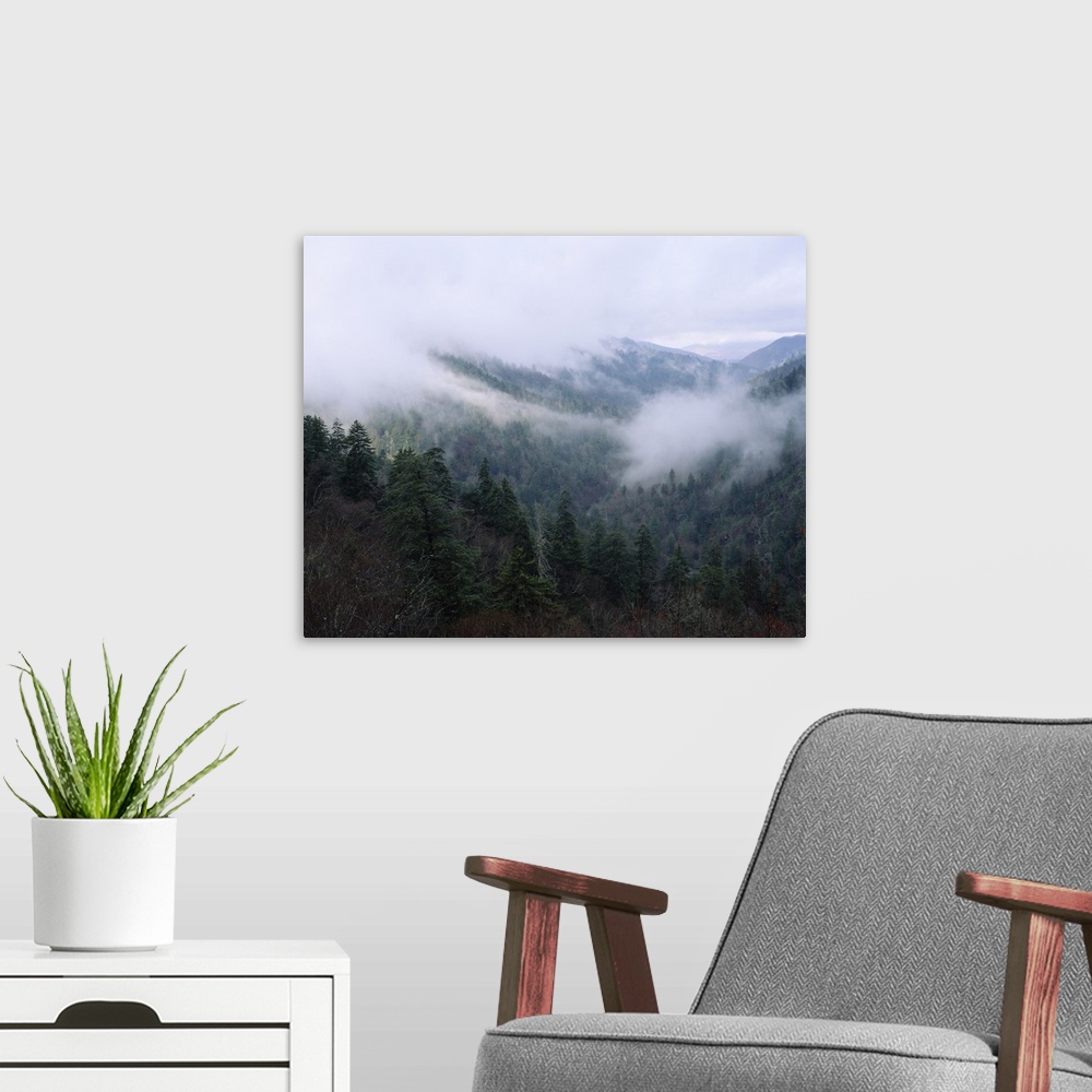 A modern room featuring Fog over a mountain range, Cherokee, Swain County, North Carolina