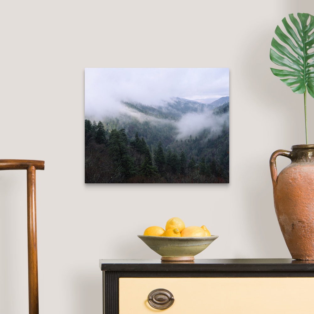 A traditional room featuring Fog over a mountain range, Cherokee, Swain County, North Carolina
