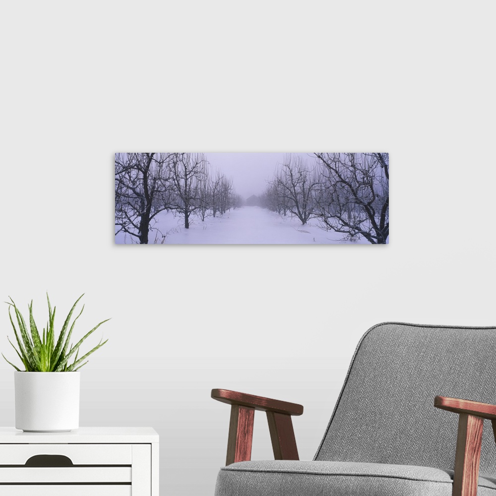 A modern room featuring Fog over a snow covered pear orchard, Upper Hood River Valley, Hood River County, Oregon