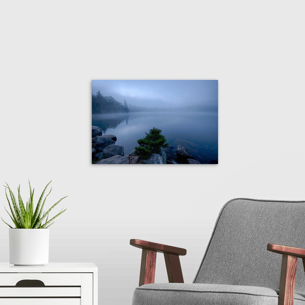A modern room featuring Fog over pond at sunrise, Copperas Pond, Adirondack Mountains State Park, New York State, USA
