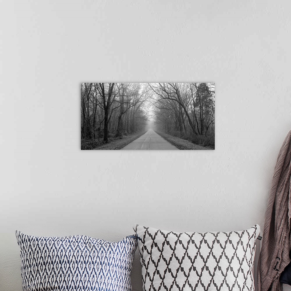 A bohemian room featuring Foggy Tree Lined Road IL