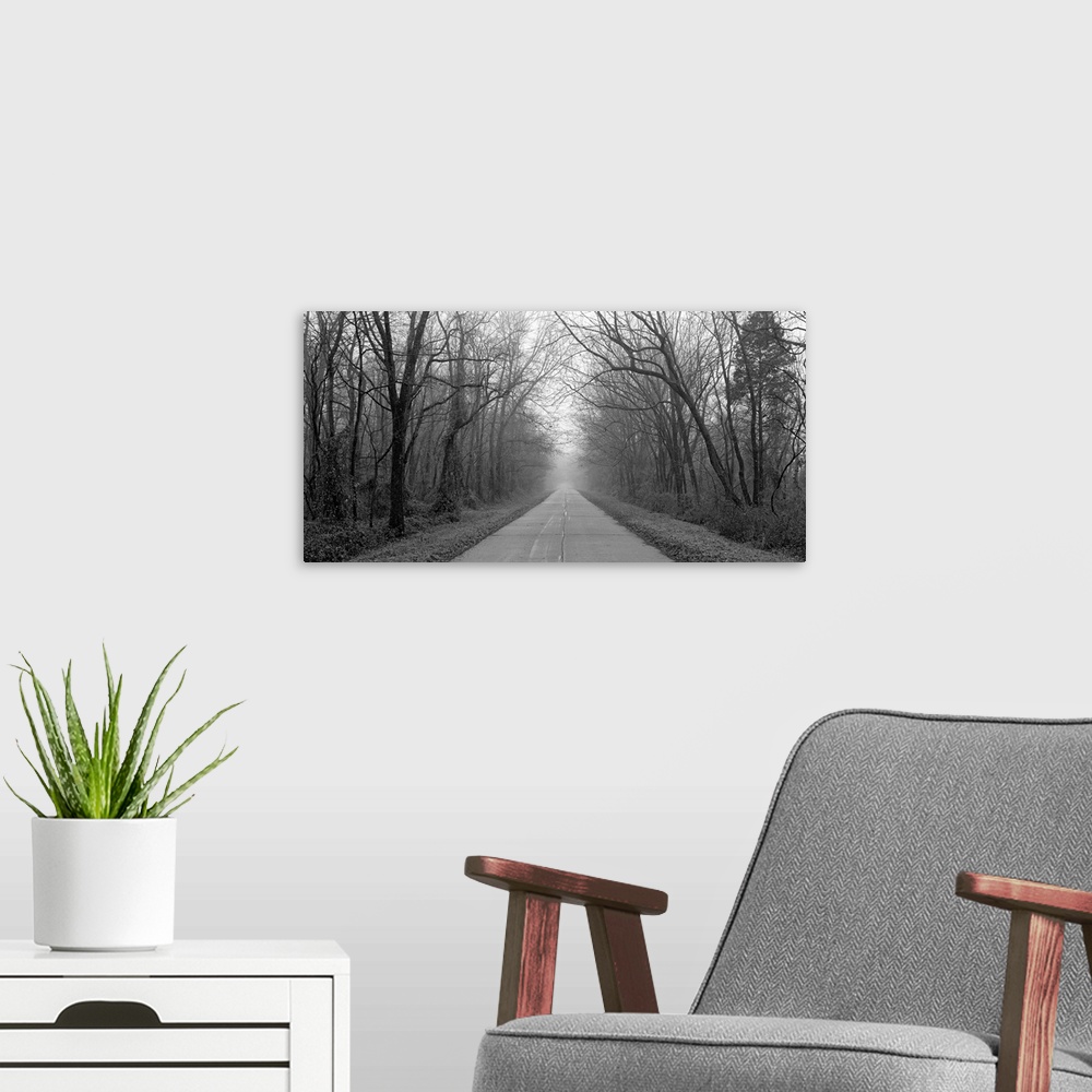 A modern room featuring Foggy Tree Lined Road IL