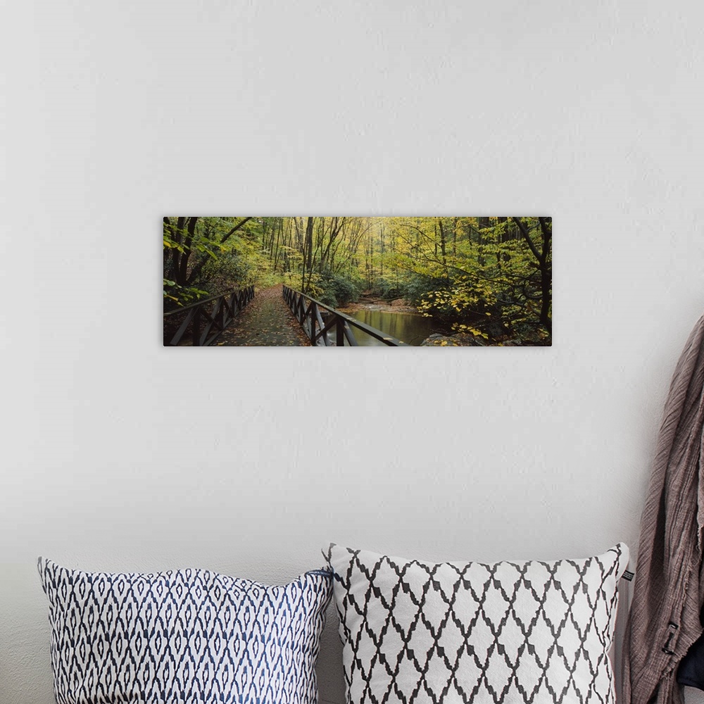 A bohemian room featuring Photograph taken of a small walking bridge that cuts through a dense forest during the fall.