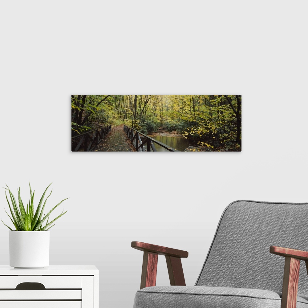 A modern room featuring Photograph taken of a small walking bridge that cuts through a dense forest during the fall.