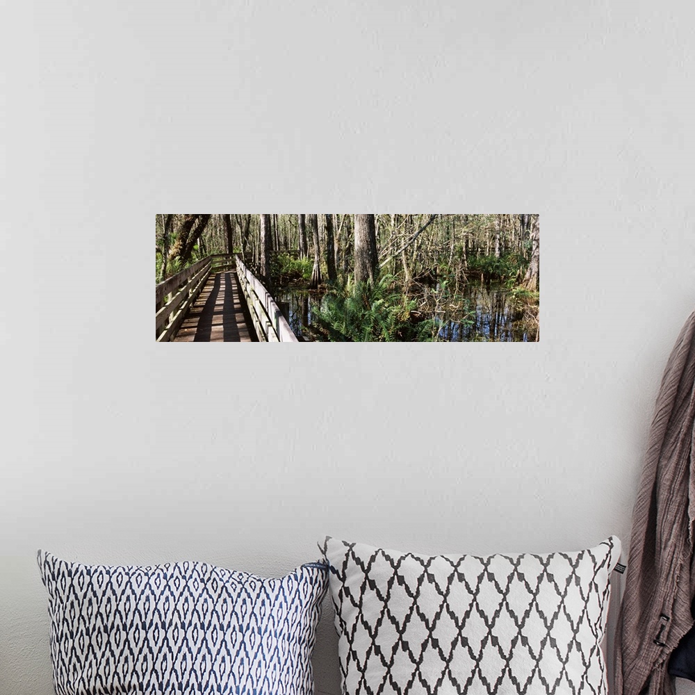 A bohemian room featuring Footbridge passing through a forest, Six Mile Cypress Slough Preserve, Fort Myers, Florida