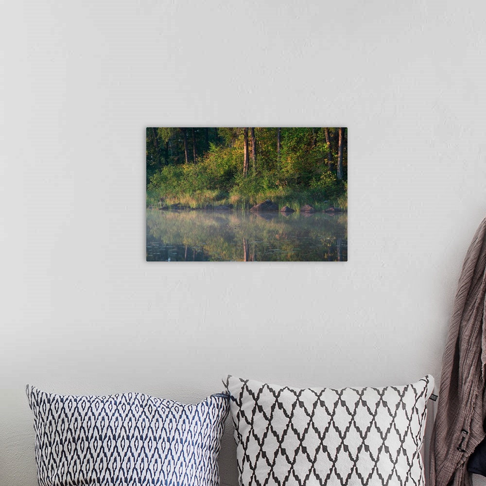 A bohemian room featuring Forest along misty Lake One shoreline, water reflection, Minnesota