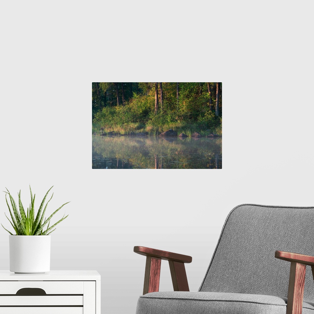 A modern room featuring Forest along misty Lake One shoreline, water reflection, Minnesota