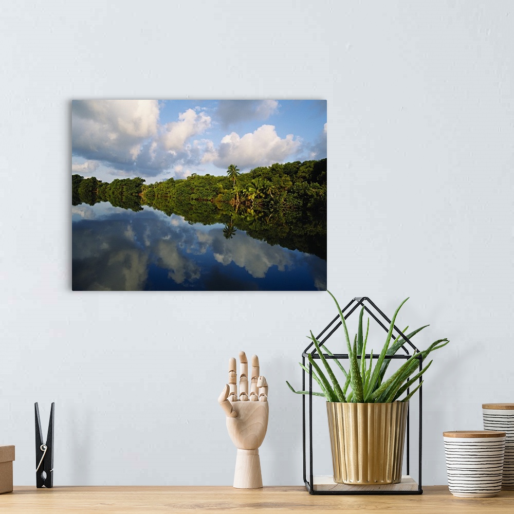 A bohemian room featuring Forest along the riverbank and reflection of cloud in water, Sibun River, Belize