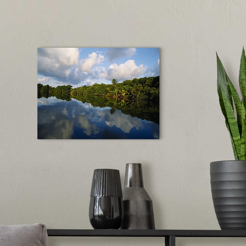 A modern room featuring Forest along the riverbank and reflection of cloud in water, Sibun River, Belize