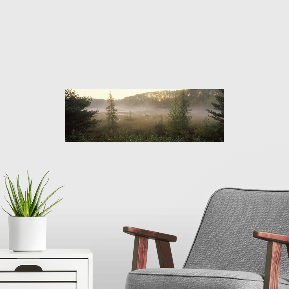 A modern room featuring Sunrise, woods, ??