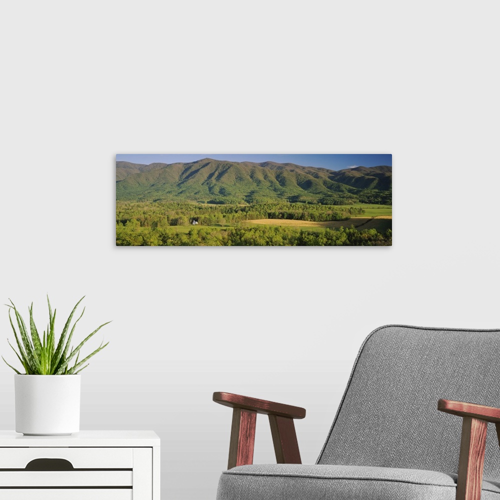 A modern room featuring Forest on a hillside, Cades Cove, Great Smoky Mountains National Park, Tennessee