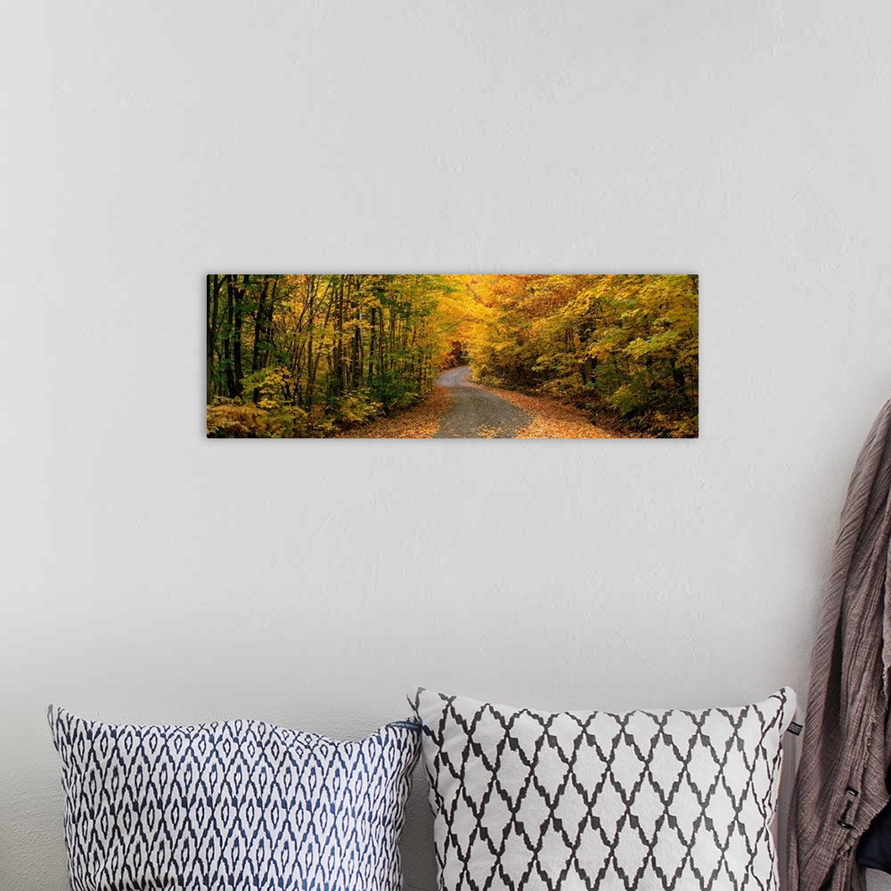 A bohemian room featuring Panoramic picture taken of a winding road through a thick forest during autumn with trees lining ...