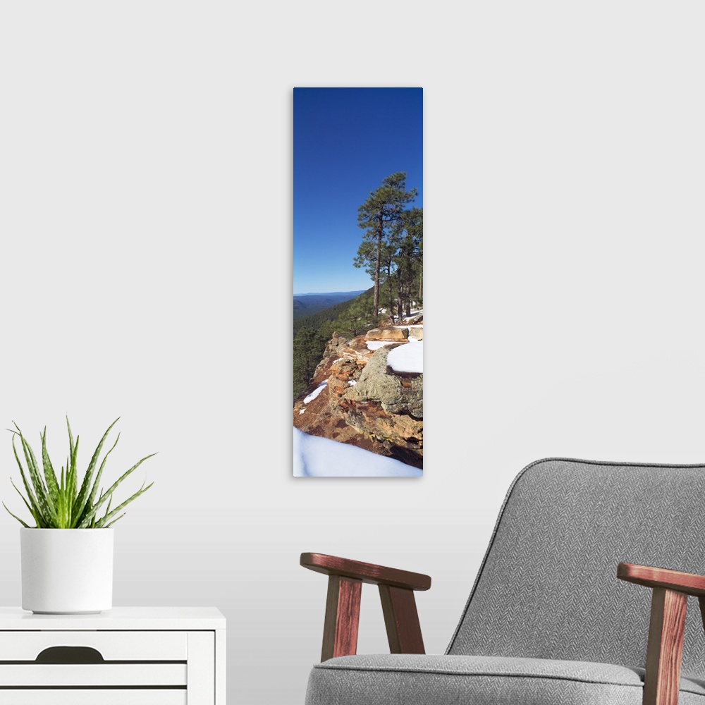 A modern room featuring Forest, Tonto National Forest, Mogollon Rim, Arizona