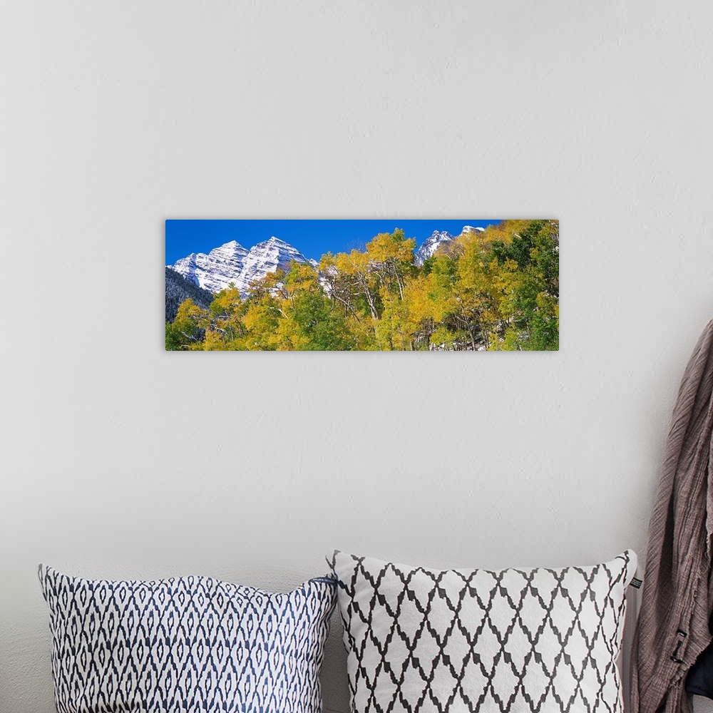 A bohemian room featuring The Maroon Bells mountain range behind a row of brightly colored trees in Aspen, Colorado.