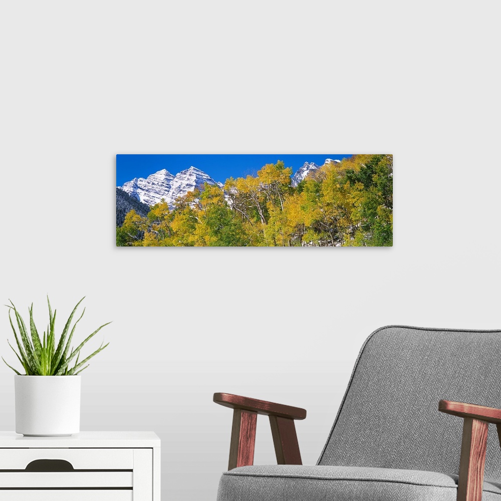 A modern room featuring The Maroon Bells mountain range behind a row of brightly colored trees in Aspen, Colorado.