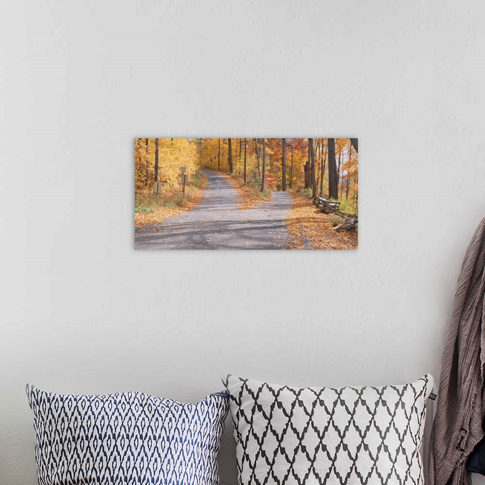 A bohemian room featuring Big canvas photo of a road that forks with beautiful fall foliage surrounding it.