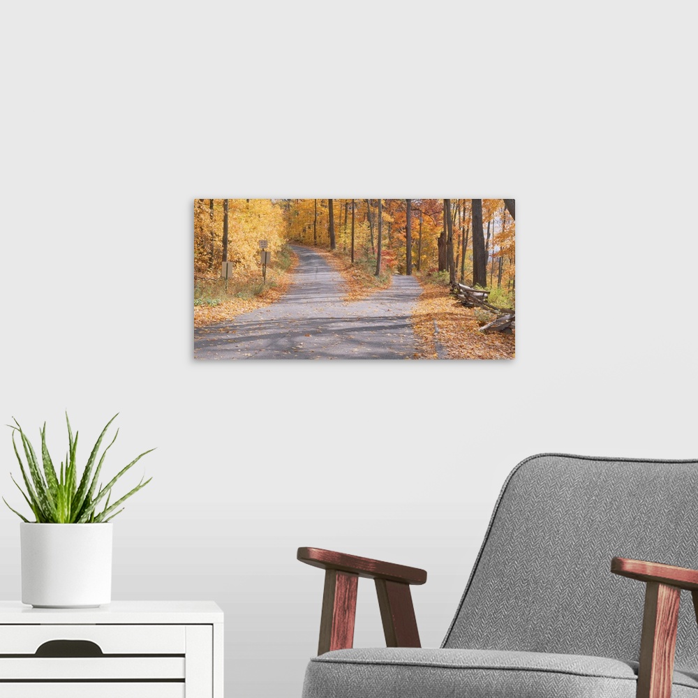 A modern room featuring Big canvas photo of a road that forks with beautiful fall foliage surrounding it.