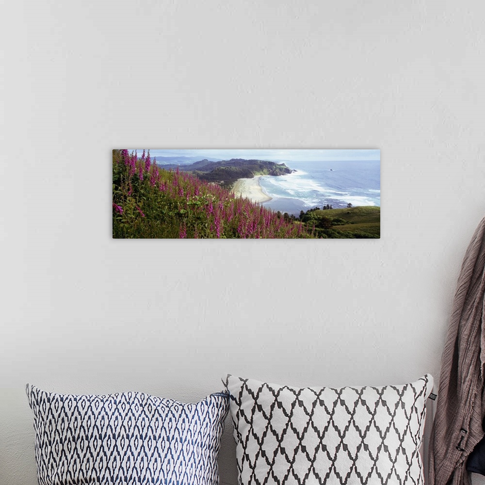 A bohemian room featuring Long and horizontal photo print of wildflowers in the foreground on a hill and a beach with waves...