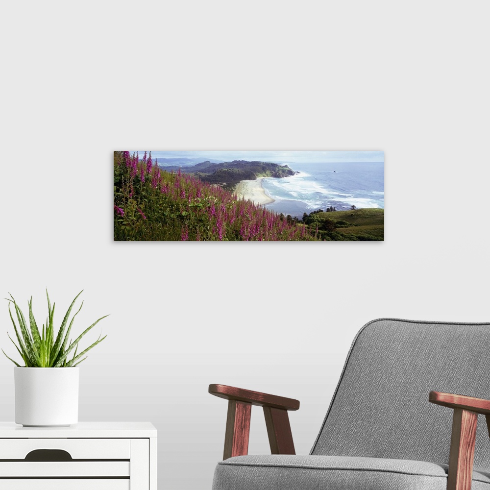 A modern room featuring Long and horizontal photo print of wildflowers in the foreground on a hill and a beach with waves...