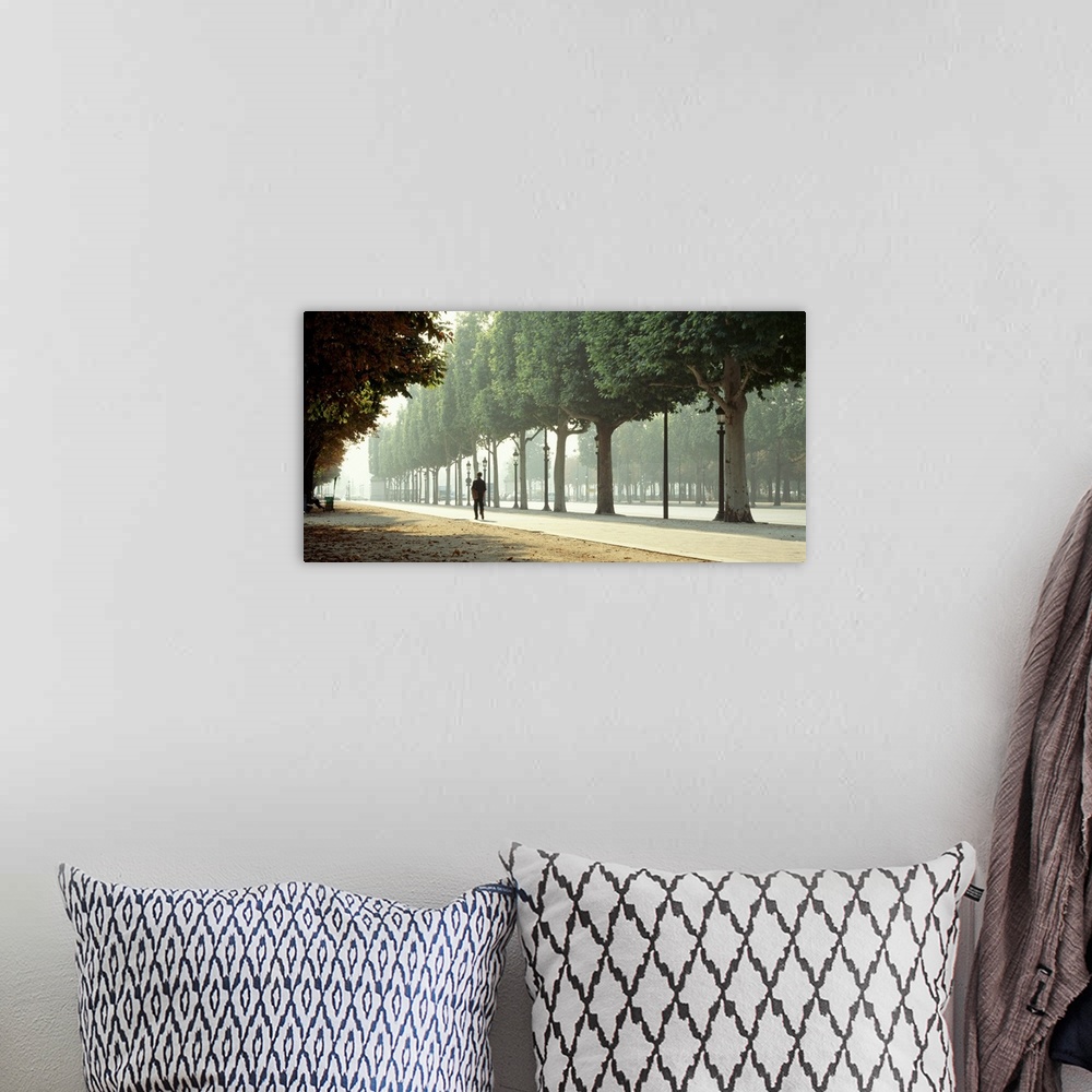 A bohemian room featuring Panoramic image of a man walking through a park in Paris with trees lined along the pathway.