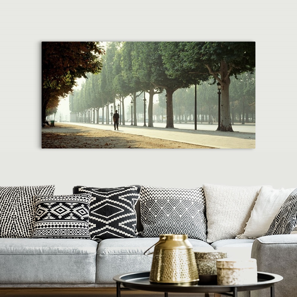 A bohemian room featuring Panoramic image of a man walking through a park in Paris with trees lined along the pathway.