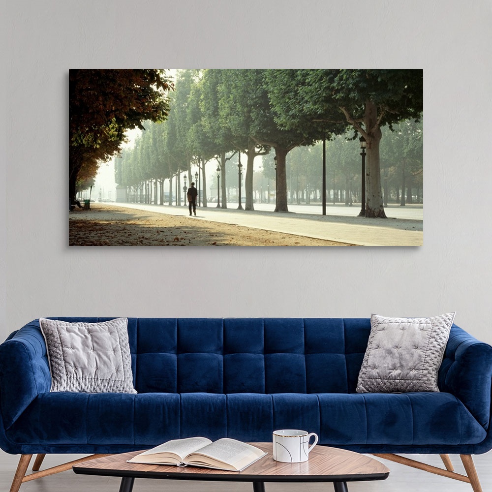 A modern room featuring Panoramic image of a man walking through a park in Paris with trees lined along the pathway.