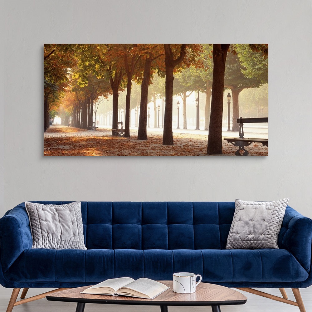 A modern room featuring Wide angle view of a tree lined avenue through a park at autumn in Paris. Benches sit between the...
