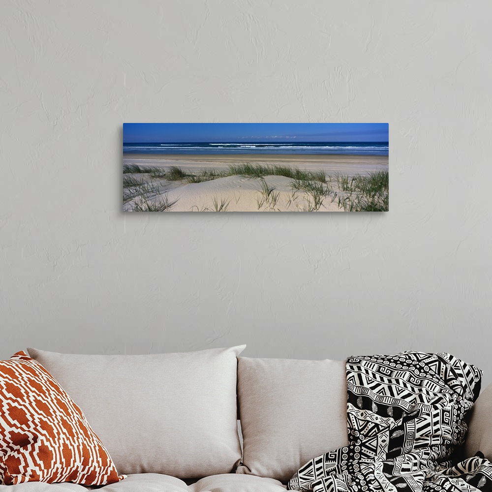 A bohemian room featuring Panoramic photograph on a giant wall hanging of grassy dunes overlooking the beach on Frasier Isl...