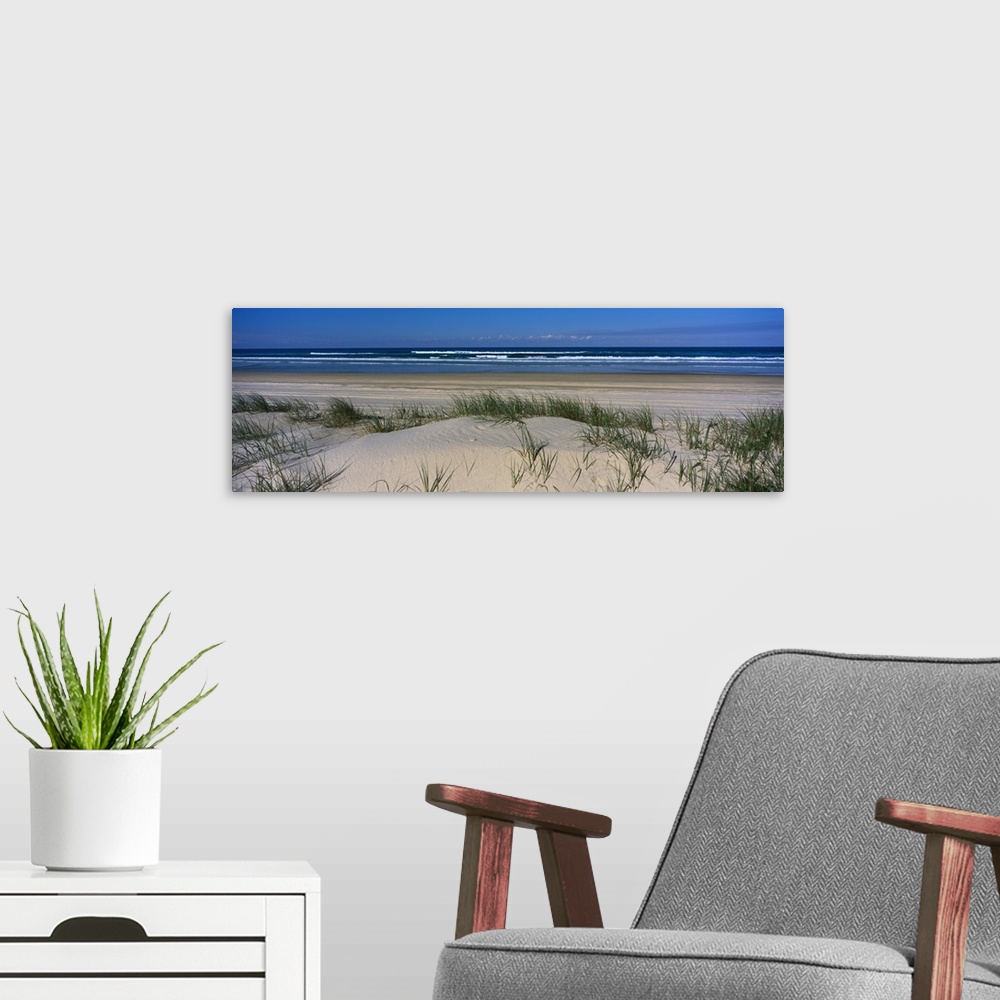 A modern room featuring Panoramic photograph on a giant wall hanging of grassy dunes overlooking the beach on Frasier Isl...