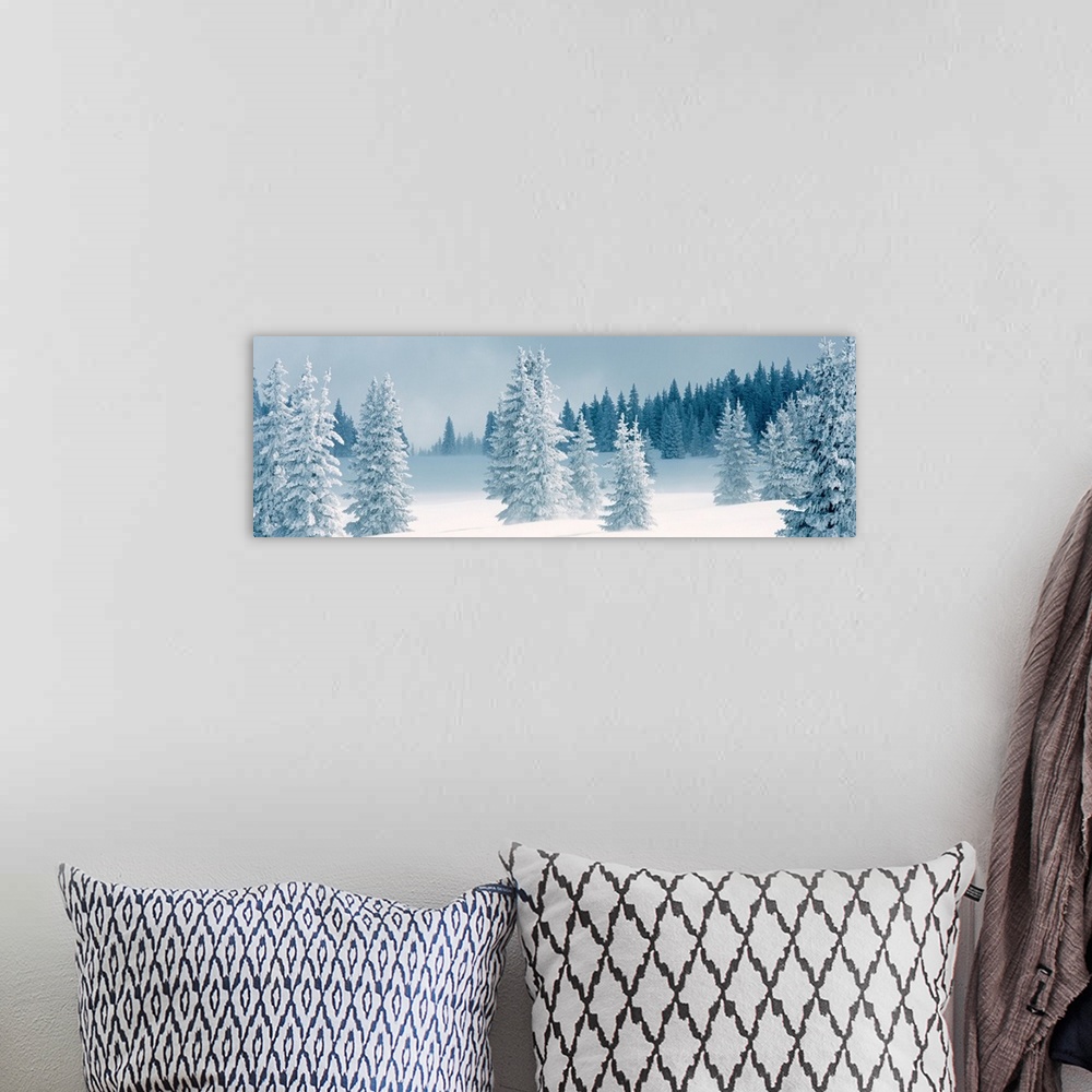 A bohemian room featuring Panoramic photograph displays a Winter landscape of trees that have been covered in a blanket of ...
