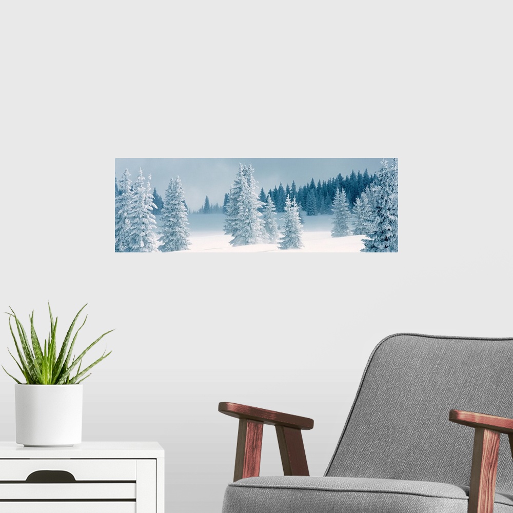 A modern room featuring Panoramic photograph displays a Winter landscape of trees that have been covered in a blanket of ...